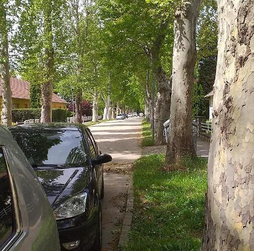 Heni Надьканижа